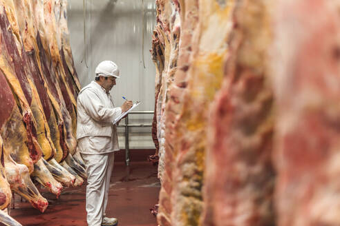 Butcher sorting and taking inventory of meat at slaughterhouse - PBTF00320