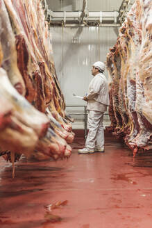 Butcher examining meat hanging in industry - PBTF00321