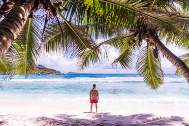 Tourist on a beautiful beach with white sand on a tropical island in the Seychelles - The famous beach of Anse d'Argent in La Digue - DMDF06093