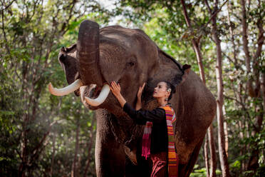 Elephant with beautiful girl in asian countryside, Thailand - Thai elephant and pretty woman with traditional dress in Surin region - DMDF06197