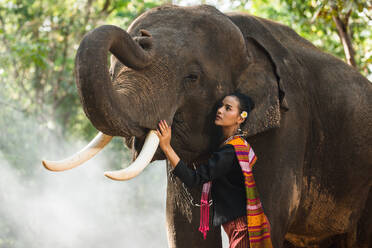 Elephant with beautiful girl in asian countryside, Thailand - Thai elephant and pretty woman with traditional dress in Surin region - DMDF06198