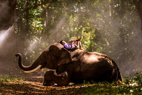 Elefant und Schulkind im asiatischen Dschungel in Thailand - Thailändischer Elefant in der Region Surin - DMDF06339