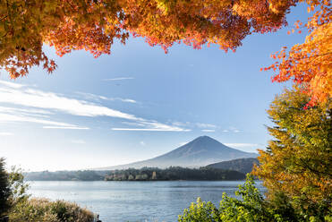 Mount Fuji and natural landscape - DMDF06370