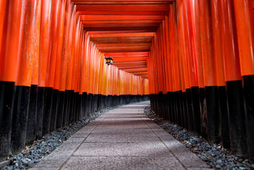 Der Fushimi-Inari-Schrein in Kyoto, Japan - DMDF06374