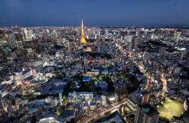 Cityscape view with skyscrapers and city lights at night, Tokyo, Japan  stock photo