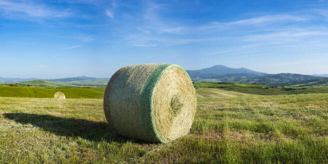 Italy, Tuscany, Pienza, Hay bale drying in summer field - WGF01494