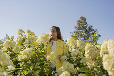 Lächelndes Mädchen inmitten von Hortensienblüten an einem sonnigen Tag - LESF00466