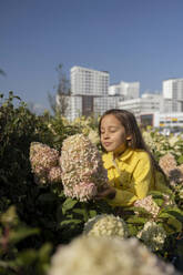 Mädchen riecht an Hortensienblüten im Park an einem sonnigen Tag - LESF00469