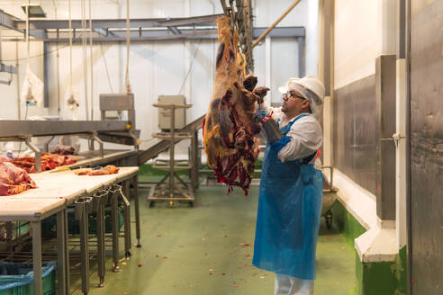 Metzger schneidet Kuhfleisch im Schlachthof - PBTF00325