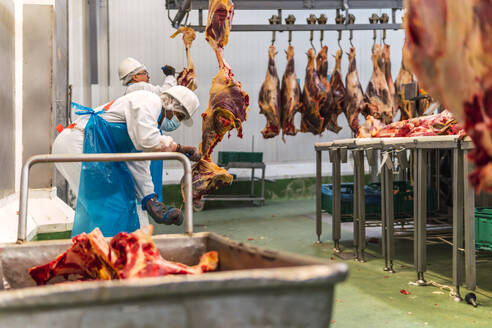 Metzger schneiden Kuhfleisch im Schlachthof - PBTF00326