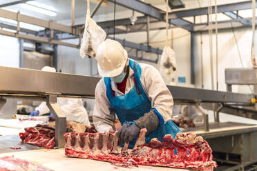 Metzger schneidet im Schlachthof Fleisch aus den Rippen - PBTF00327