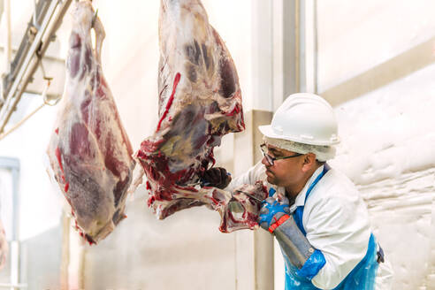 Schlachthofarbeiter schneidet Kuhbein in Fleischkammer - PBTF00331