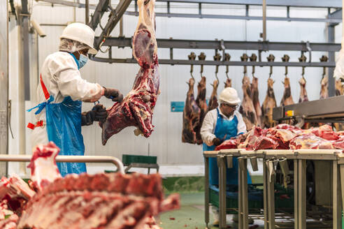 Metzger schneiden Kuhfleisch im Kühlhaus - PBTF00333