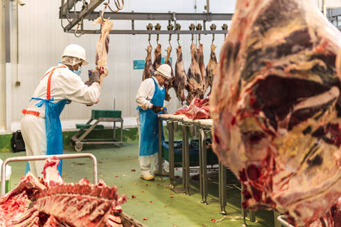 Schlachthofmetzger schneiden Kuhfleisch im Kühlhaus - PBTF00334