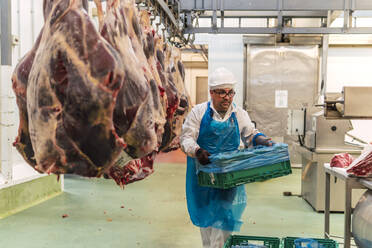 Butcher carrying crate by meat hanging in cold storage slaughterhouse - PBTF00335
