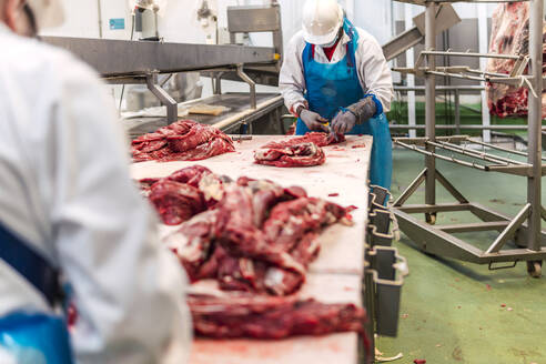 Schlachthofmitarbeiter schneiden Kuhfleisch im Kühlhaus - PBTF00336