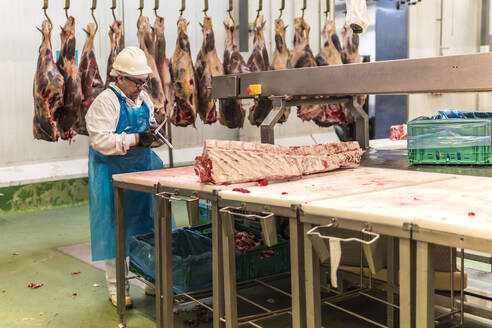 Metzger bei der Arbeit am hängenden Fleisch im Kühlhaus des Schlachthofs - PBTF00337