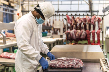 Junger Metzger beim Verpacken von rohem Fleisch im Schlachthof - PBTF00338