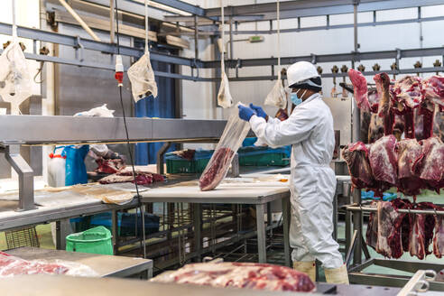 Junger Metzger beim Verpacken von rohem Fleisch im Schlachthof - PBTF00339