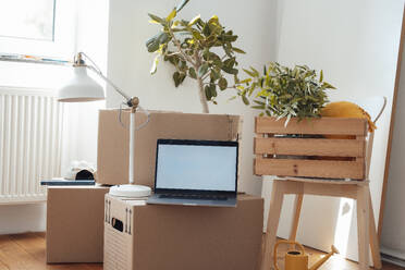 Laptop on cardboard box near lamp and crate at home - JOSEF21263