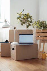 Laptop on cardboard box near lamp and crate at home - JOSEF21264