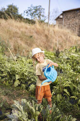 Junge bewässert Pflanzen im Gemüsegarten - PCLF00752