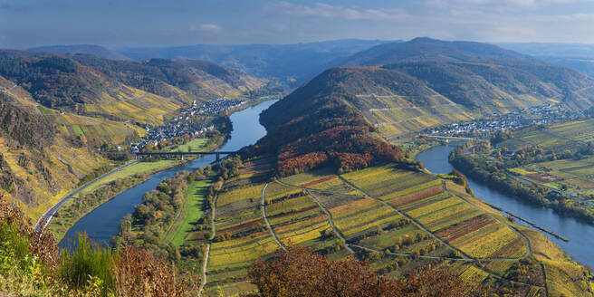 Germany, Rhineland-Palatinate, Bremm, Mosel Valley in autumn - WGF01500