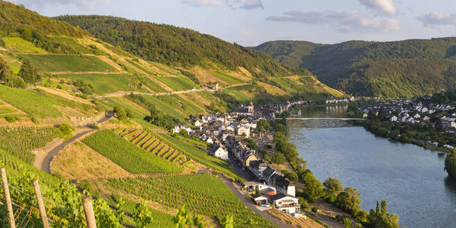 Germany, Rhineland-Palatinate, Zell, Village in Mosel Valley with vineyards in foreground - WGF01503