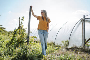 Blonde Frau steht in der Nähe eines Gewächshauses in einem Himbeerfeld - MDOF01532