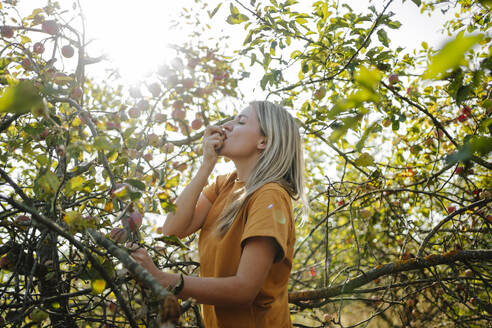 Blonde Frau isst Äpfel im Obstgarten - MDOF01544