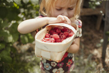 Mädchen hält Kiste mit Himbeeren im Garten - ASHF00007