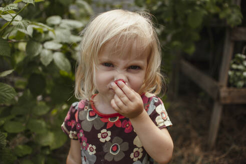 Cute blond girl smelling raspberry in garden - ASHF00011