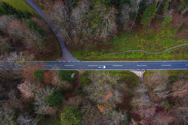 Österreich, Oberösterreich, Drohnenansicht eines Autos auf einer asphaltierten Straße, die sich durch einen Herbstwald zieht - WWF06562
