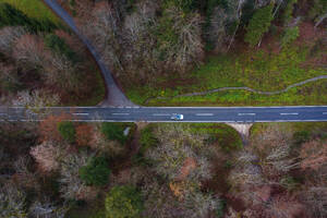 Austria, Upper Austria, Drone view of car on asphalt road stretching through autumn forest - WWF06562