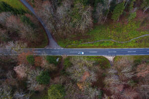 Österreich, Oberösterreich, Drohnenansicht eines Autos auf einer asphaltierten Straße, die sich durch einen Herbstwald zieht - WWF06562