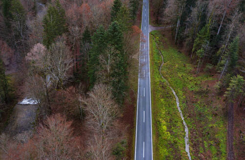 Österreich, Oberösterreich, Drohnenansicht einer asphaltierten Straße, die sich durch einen herbstlichen Wald zieht - WWF06564