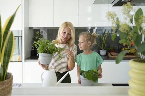 Smiling mother and daughter standing with plants in kitchen at home - SVKF01642