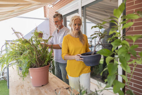 Mann und Frau helfen sich gegenseitig bei der Gartenarbeit im Hinterhof - JCCMF10818