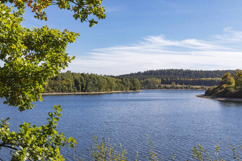 Belgien, Provinz Lüttich, Blick auf den Butgenbachsee und den umliegenden Wald - GWF07909