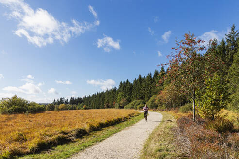 Belgien, Provinz Lüttich, Älterer Wanderer auf einem Weg im Hohen Venn - Naturpark Eifel - GWF07910