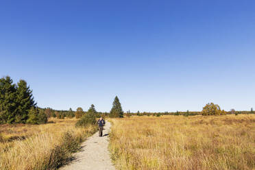 Belgien, Provinz Lüttich, Älterer Wanderer auf einem Weg im Hohen Venn - Naturpark Eifel - GWF07916