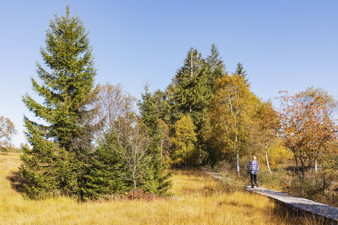 Belgien, Provinz Lüttich, Wanderin auf dem Holzsteg im Hohen Venn - Naturpark Eifel - GWF07917