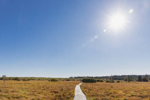 Belgien, Provinz Lüttich, Die Sonne scheint auf die Promenade, die sich über das Moor im Naturpark Hohes Venn - Eifel erstreckt - GWF07919