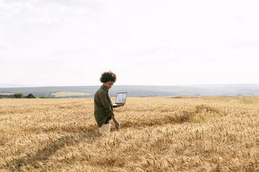 Agronom mit Laptop bei der Untersuchung der Gerstenernte auf dem Feld - AAZF01152