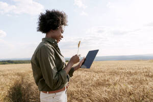 Afro-Agronom mit Tablet-PC und Untersuchung von Gerste auf dem Feld - AAZF01181