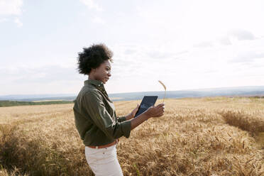 Young Afro agronomist holding tablet PC and examining barley in field - AAZF01182