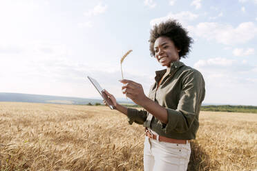 Smiling young Afro agronomist holding tablet PC and examining barley in field - AAZF01183