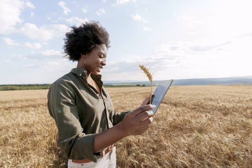 Young Afro farm worker holding tablet PC and examining barley in field - AAZF01184