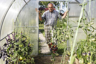 Älterer Mann steht an der Tür eines Gewächshauses im Garten - EYAF02840