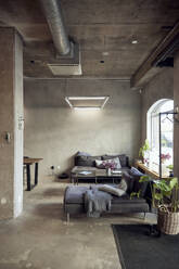 Sofas in creative office - MASF39856